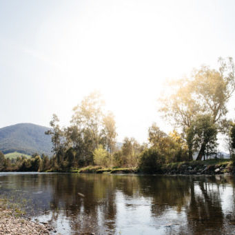 Mitta Valley, Towong Tourism